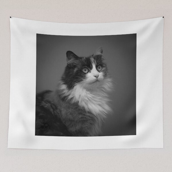 Item preview, Cat in Black and White designed and sold by Mats Silvan.