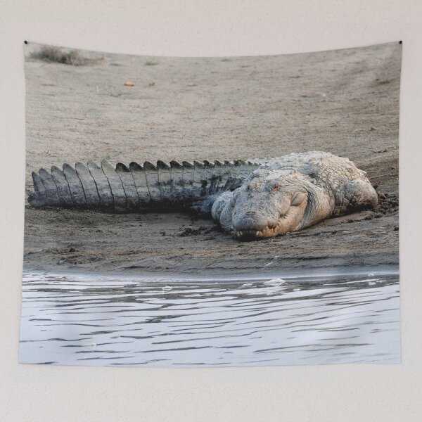 Item preview, nepal - chitwan national park designed and sold by franck380.