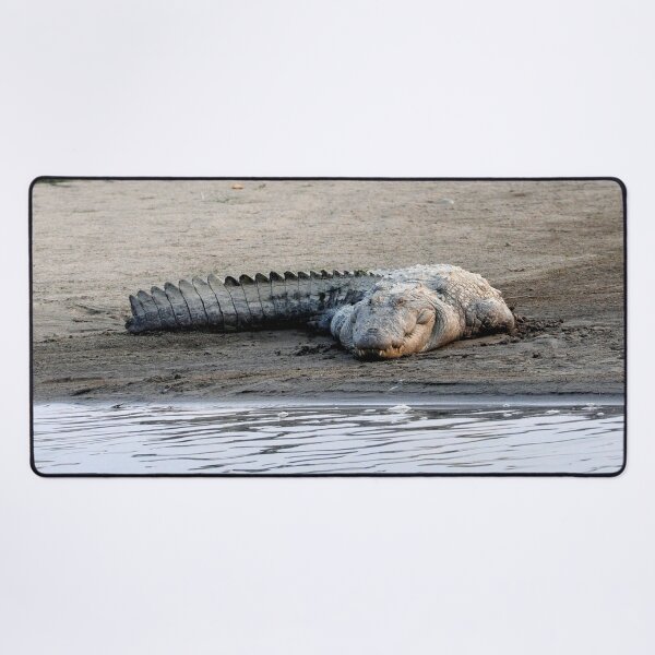 Item preview, nepal - chitwan national park designed and sold by franck380.