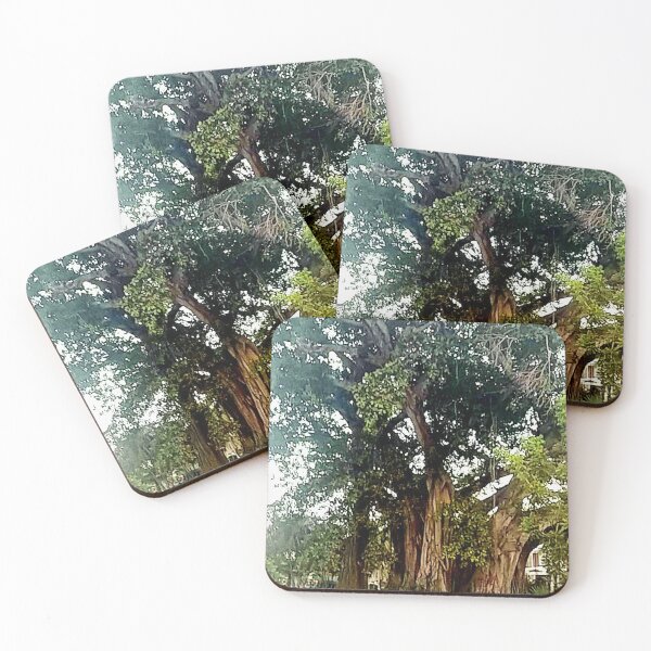 Item preview, Banyon Tree , Retta Esplanade, Punta Gorda, Florida.  designed and sold by tuckersemporium.