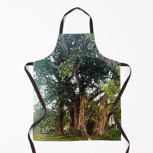 Item preview, Banyon Tree , Retta Esplanade, Punta Gorda, Florida. designed and sold by tuckersemporium.
