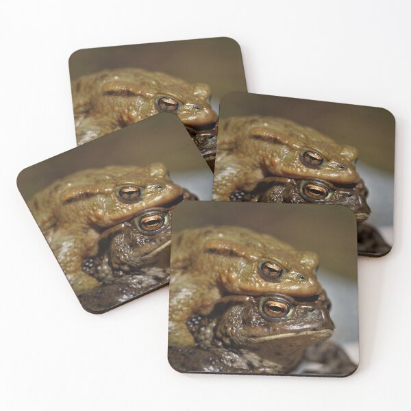 Item preview, Common toads designed and sold by Christian Moss.