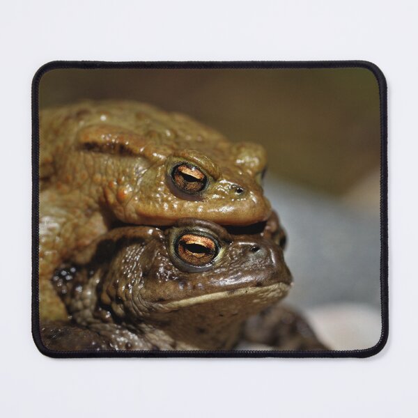 Item preview, Common toads designed and sold by Christian Moss.
