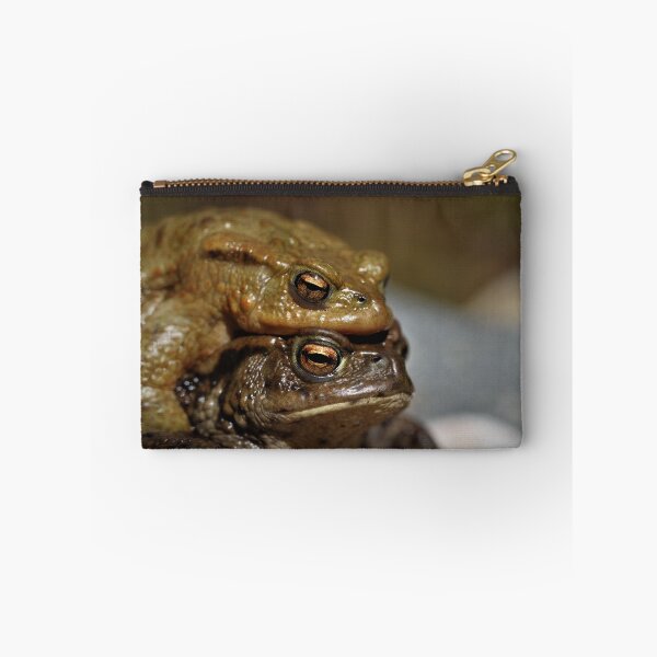 Item preview, Common toads designed and sold by Christian Moss.