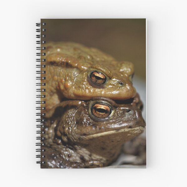 Item preview, Common toads designed and sold by Christian Moss.