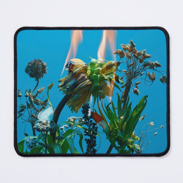 Item preview, Flowers on fire - burning flowers designed and sold by alimuson.
