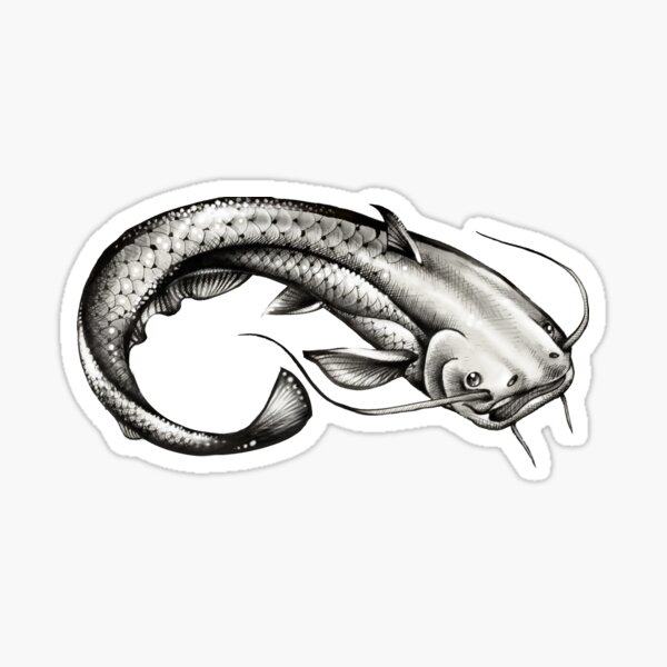 Poisson légendaire Silure Sticker