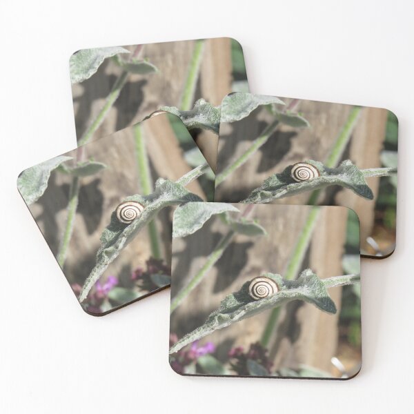 Item preview, A stripy snail on a leaf designed and sold by greentiger1.