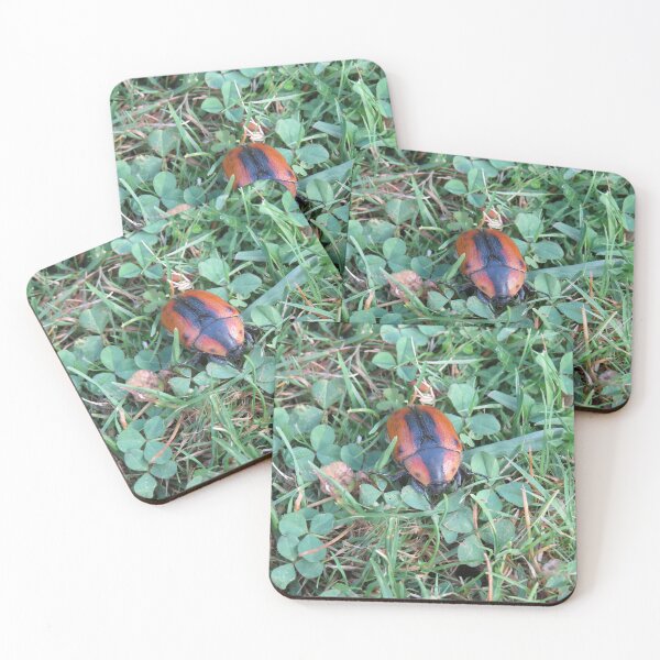 Item preview, Cowboy beetle on the lawn designed and sold by greentiger1.