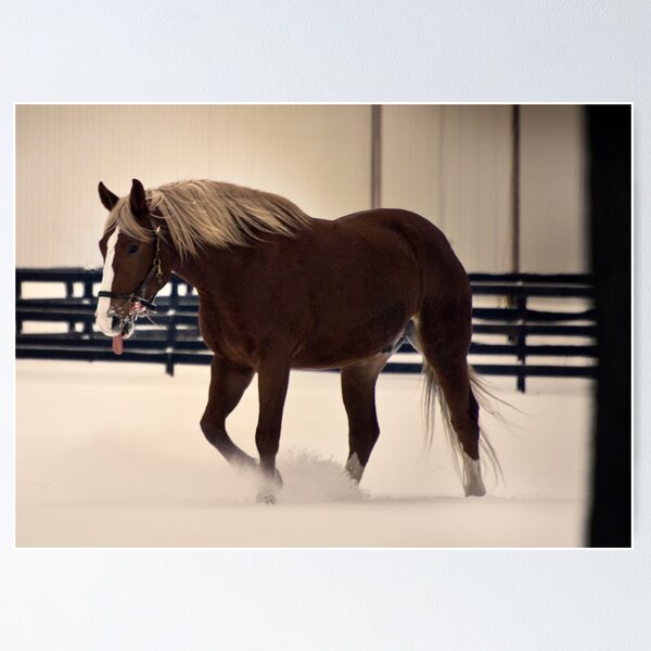 Item preview, Horse in Snow designed and sold by MaryAnn Reilly.