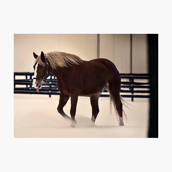 Item preview, Horse in Snow designed and sold by MaryAnn Reilly.