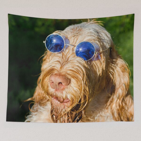 Item preview, Blue Glasses Spinone designed and sold by FOLK ART FUSION.