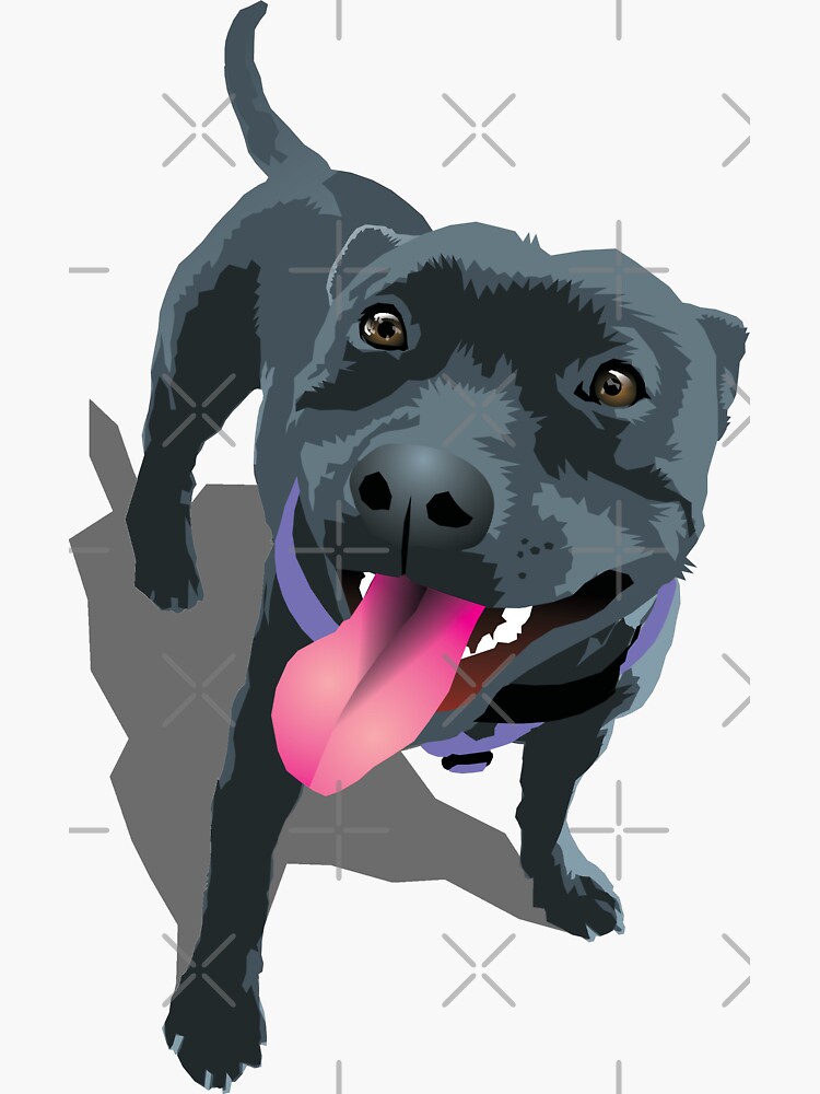 Purple shops staffy