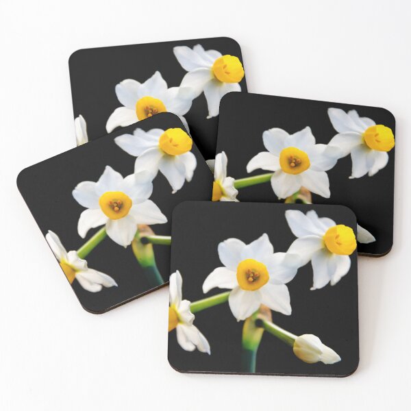 Item preview, Daffodil flower designed and sold by JEZ22.