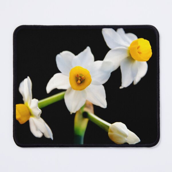 Item preview, Daffodil flower designed and sold by JEZ22.