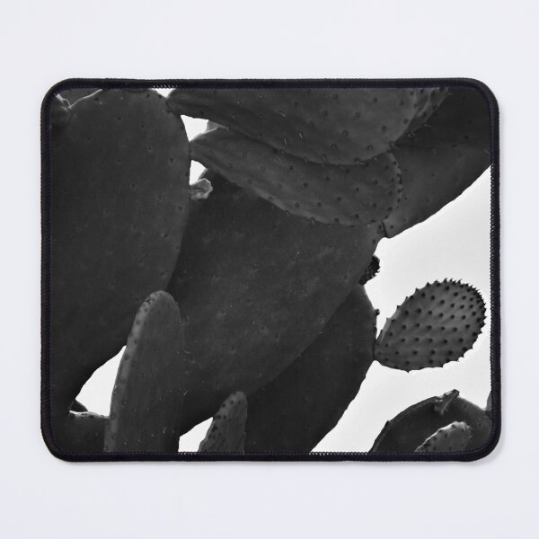 Item preview, Modern black and white cactus desert photography designed and sold by by-jwp.