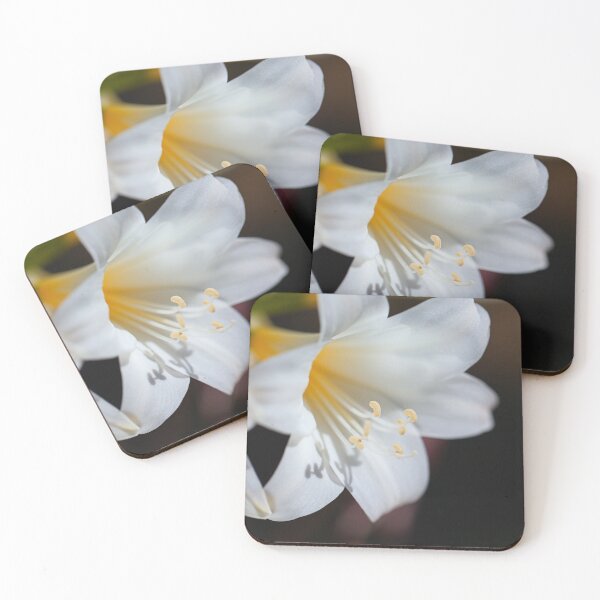 Item preview, Lily White Flowers Touch Hands designed and sold by Joy Watson - Natural Light Photography .