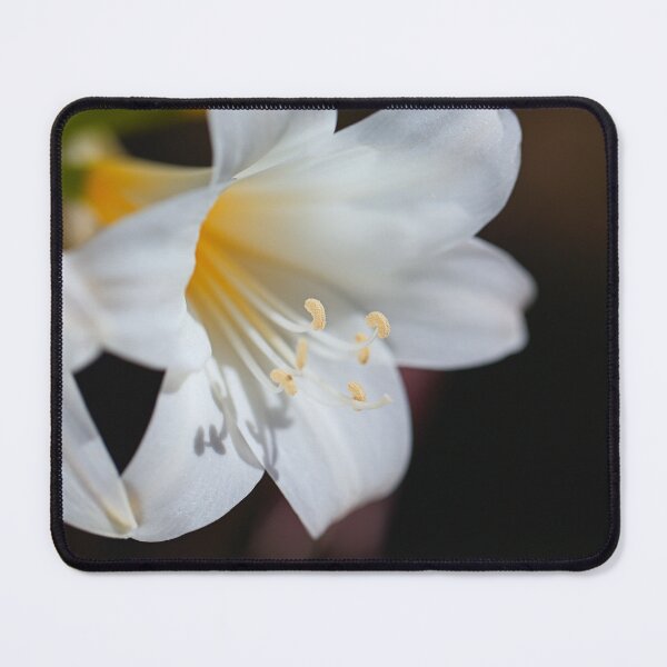 Item preview, Lily White Flowers Touch Hands designed and sold by Joy Watson - Natural Light Photography .