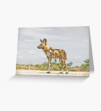 Deathly Stare Greeting Card