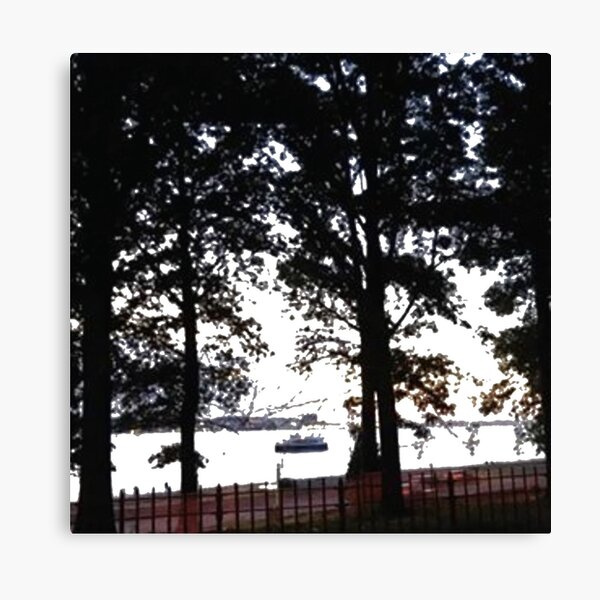 Trees, branches, leaves, branches, river, boat Canvas Print