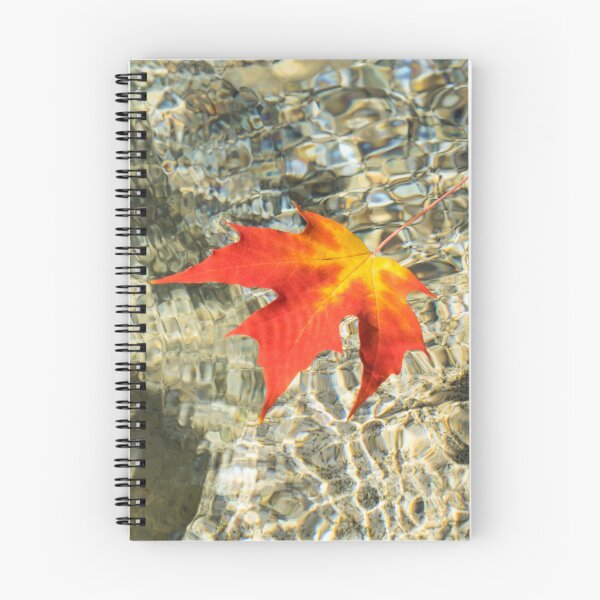Item preview, Floating Red Maple Leaf with Splendid Refraction Patterns designed and sold by Georgia Mizuleva.