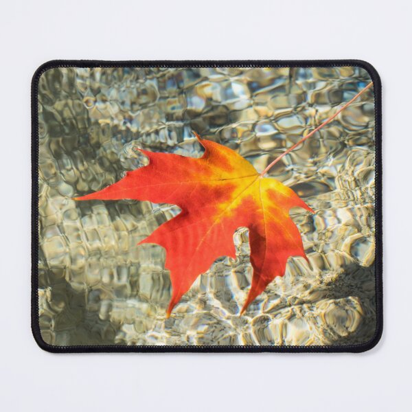 Item preview, Floating Red Maple Leaf with Splendid Refraction Patterns designed and sold by Georgia Mizuleva.