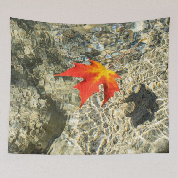 Item preview, Floating Red Maple Leaf with Splendid Refraction Patterns designed and sold by Georgia Mizuleva.