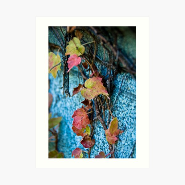 Fall Vines Art Print