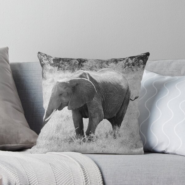 Aperçu de l'œuvre Éléphant dans le MARA créée et vendue par Meshpics.