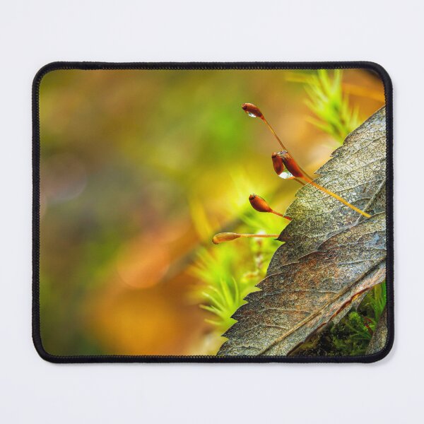 Item preview, New and old designed and sold by Veikko  Suikkanen.