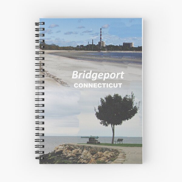 Item preview, Bridgeport, Connecticut - Beautiful Seaside Park designed and sold by leemcnut.