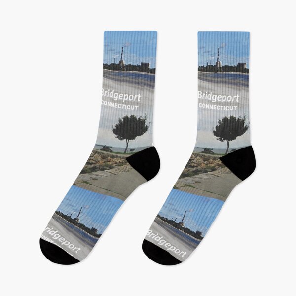 Item preview, Bridgeport, Connecticut - Beautiful Seaside Park designed and sold by leemcnut.