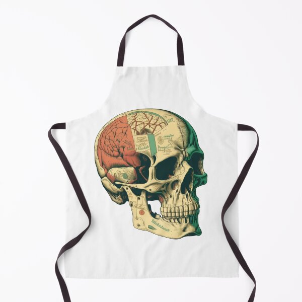 Item preview, Vintage Anatomical Medical Skull  designed and sold by Gile-Shop.
