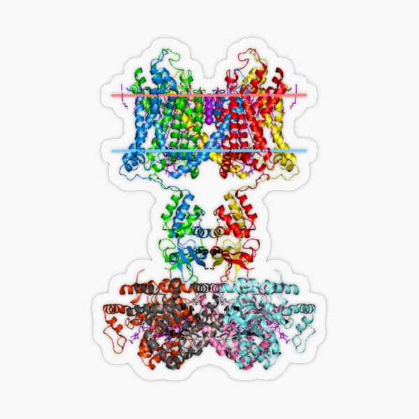 This giant biological molecule is an ion channel Transparent Sticker