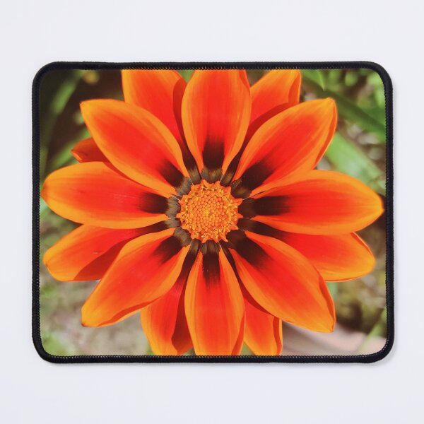 Item preview, Orange Gazania Flower designed and sold by Jacquiamber.