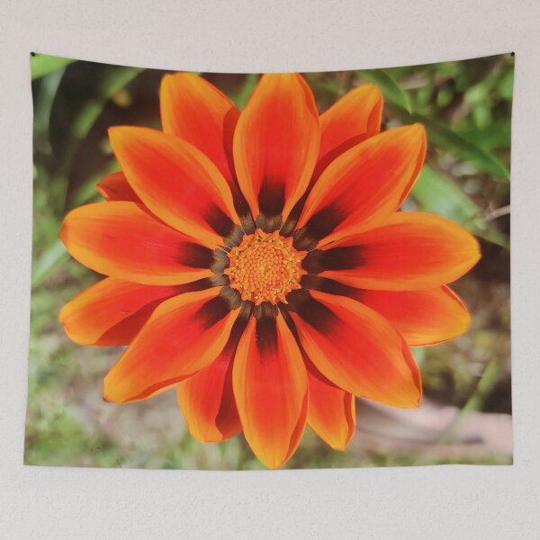 Item preview, Orange Gazania Flower designed and sold by Jacquiamber.