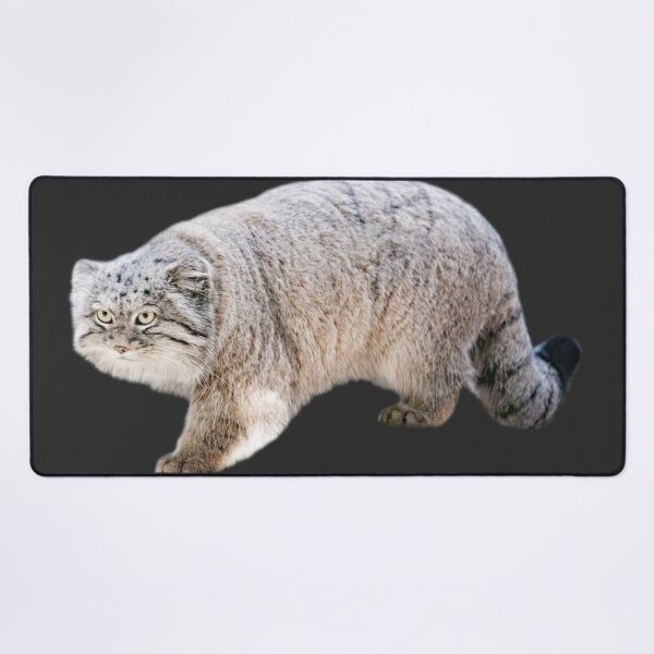Vista previa del artículo con la obra «gato manul peludo», diseñado y vendido por ep-pandality.