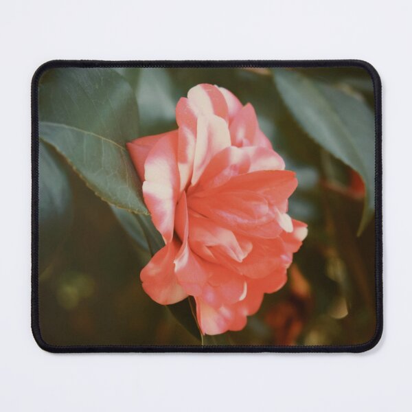 Item preview, Sweetness designed and sold by Melanie Uadjit.