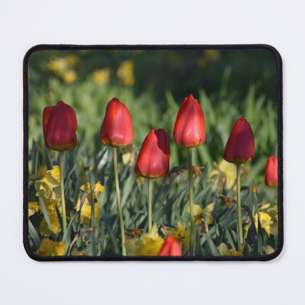 Item preview, The first flowers in spring designed and sold by Claude Laprise.