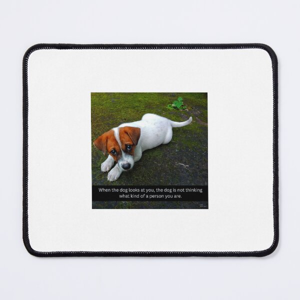 Item preview, When the dog looks at you, the dog is not thinking what kind of a person you are. designed and sold by sarisarishops.