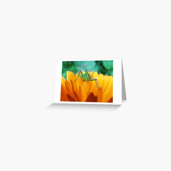 Green Hopper Greeting Card