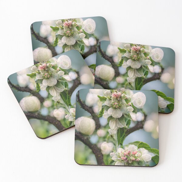 Item preview, Blossoming branch of an apple tree - spring motif designed and sold by Rostislav Bouda.