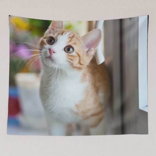Item preview, Sweet Kitten designed and sold by bwalkama.