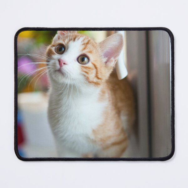 Item preview, Sweet Kitten designed and sold by bwalkama.