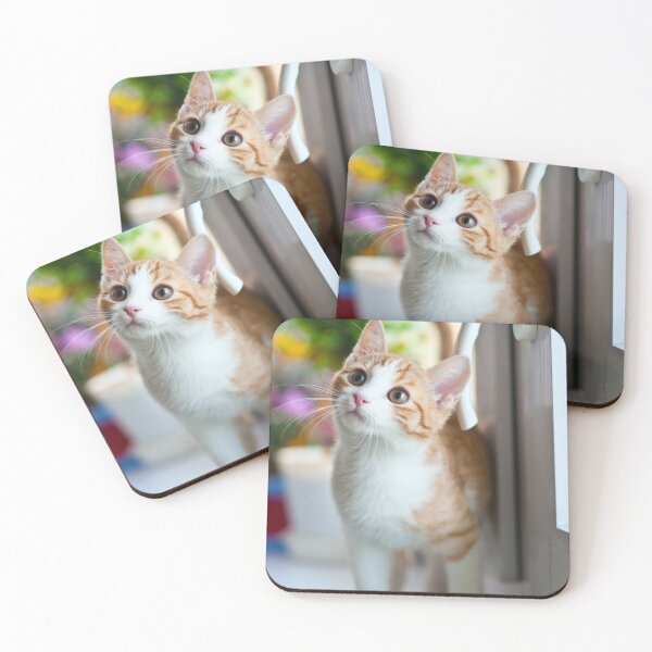 Item preview, Sweet Kitten designed and sold by bwalkama.