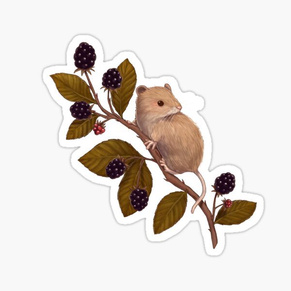 Item preview, small vole on its mulberry branch designed and sold by PikipiMissNat.