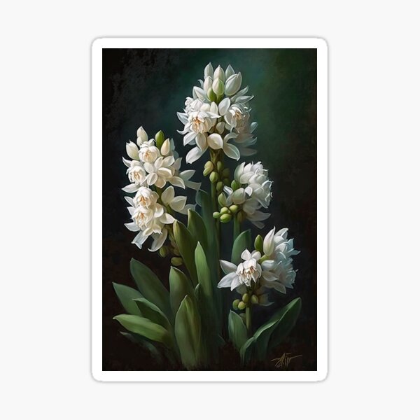 Aperçu de l'œuvre White Hyacinth  créée et vendue par Vanover Designs.