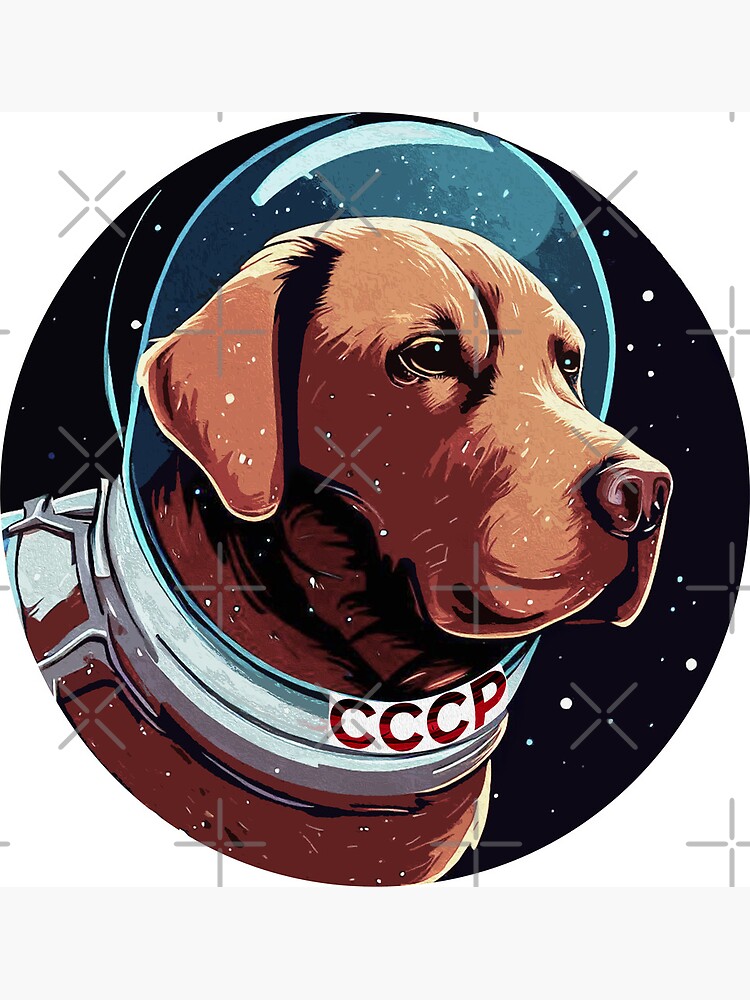Cosmo the Spacedog Poster for Sale by PotatoGear Redbubble