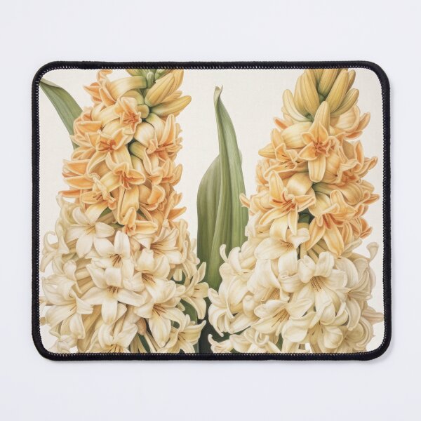 Item preview, Cream Hyacinth  designed and sold by Vanover Designs.