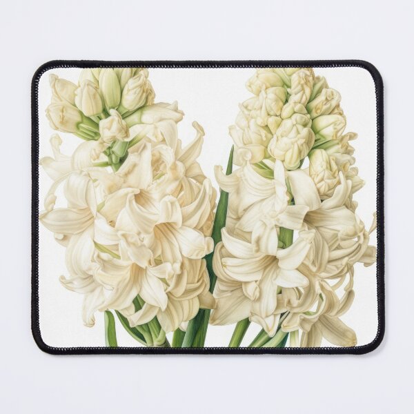Item preview, Cream Hyacinth  designed and sold by Vanover Designs.